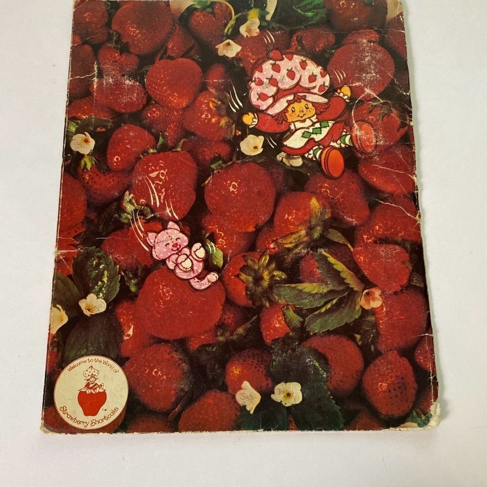 Lot of 6 Strawberry Shortcake pocket folders 1980 St Regis - Picture 11 of 16